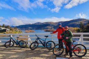 Queenstown: Guided Scenic E-bike Tour