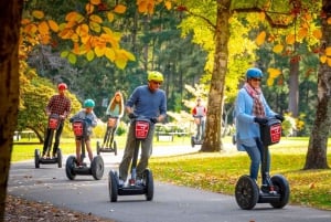 Queenstown: Guided Segway Tour