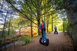 Queenstown: Guided Segway Tour