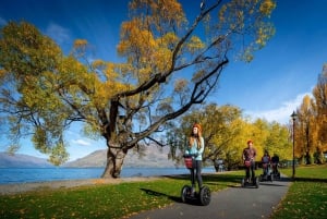 Queenstown: Guided Segway Tour