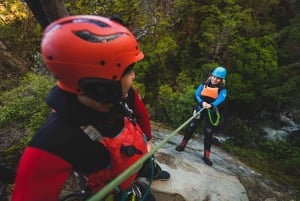 Queenstown : Aventure de canyoning d'une demi-journée