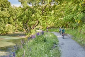 Квинстаун: винный тур на электровелосипеде с гидом на полдня