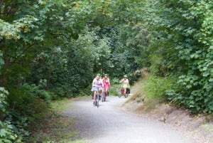 Квинстаун: винный тур на электровелосипеде с гидом на полдня