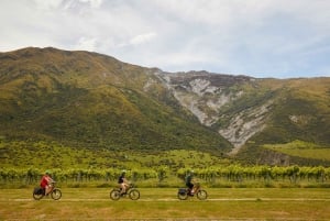 Квинстаун: винный тур на электровелосипеде с гидом на полдня
