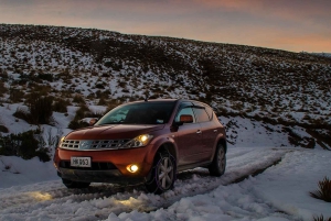 Queenstown: Tour fotografico privato di mezza giornata