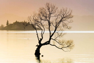 Queenstown: Tour fotografico privato di mezza giornata