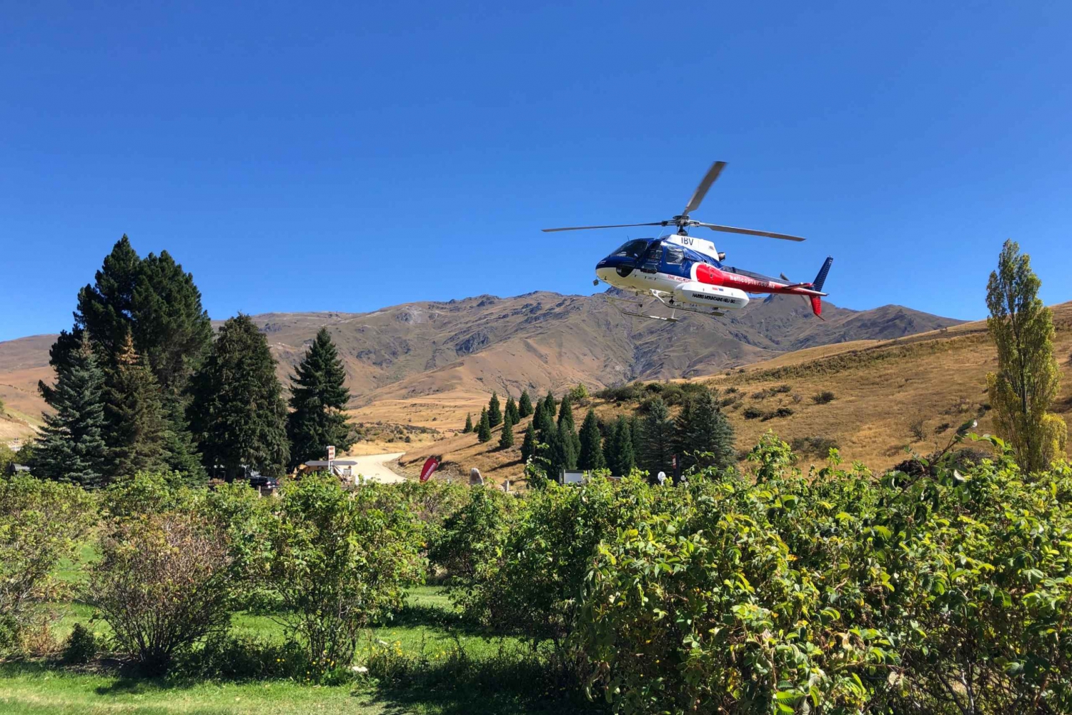 Queenstown: Helicopter Flight and Gin Tasting Private Tour