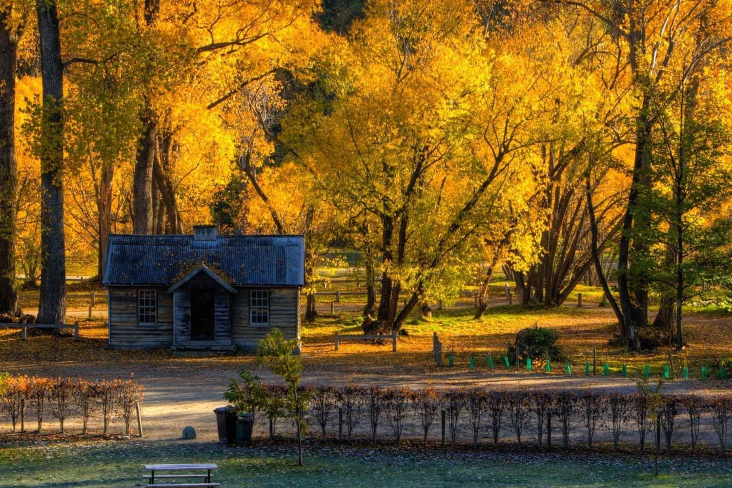 Queenstown: Highlights-Tour mit Weinprobe