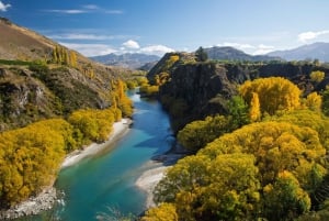 Queenstown: Highlights Tour with Wine Tasting