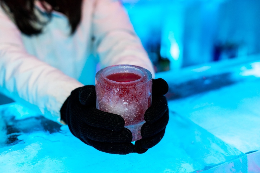 Queenstown Ice Bar in Queenstown