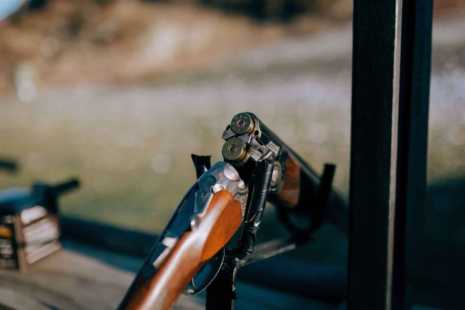 Queenstown: Jet Sprint Boating & Tontaubenschießen