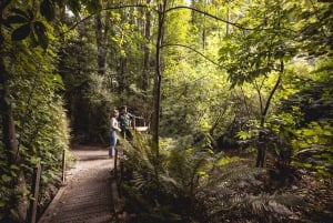 Inngangsbillett til Kiwi Park