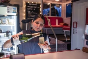 Квинстаун: Сценический круиз по озеру Вакатипу