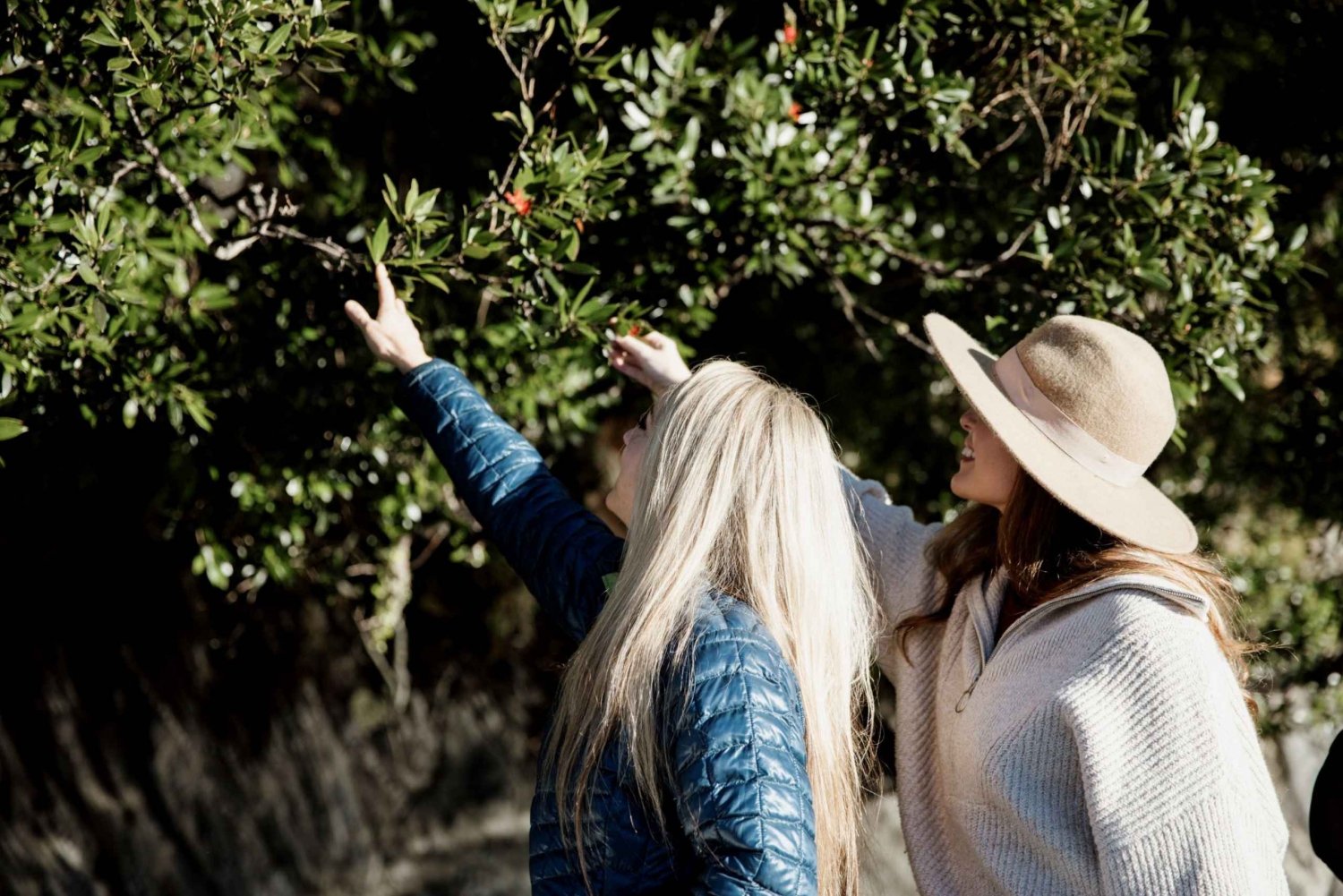 Queenstown Milford Sound Coach & Cruise FullDay Trip in Queenstown