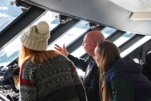 Queenstown: Milford Sound Coach & Cruise Full-Day Trip