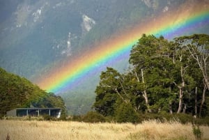 Queenstown: Milford Sound tur i liten grupp med kryssning och lunch