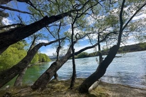 クイーンズタウン ワインツアー以上（プライベート）