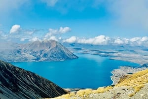 クイーンズタウン ワインツアー以上（プライベート）