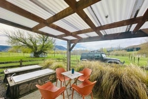 クイーンズタウン ワインツアー以上（プライベート）