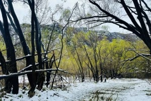 クイーンズタウン ワインツアー以上（プライベート）