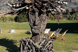 クイーンズタウン ワインツアー以上（プライベート）