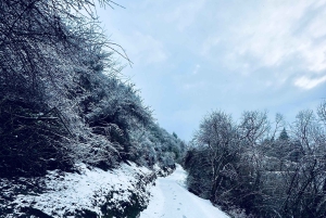 クイーンズタウン ワインツアー以上（プライベート）