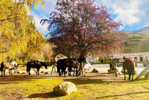 クイーンズタウン ワインツアー以上（プライベート）