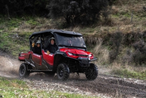 Queenstown : visite combinée en quad et en buggy