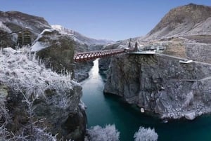 Queenstown: Privat dagsudflugt til Arrowtown og Wanaka