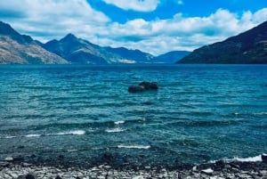 Queenstown: Privat dagsudflugt til Arrowtown og Wanaka