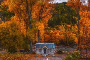 Queenstown: Privat dagsudflugt til Arrowtown og Wanaka