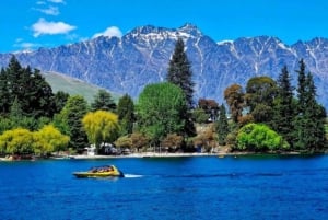 Queenstown: Privat dagsudflugt til Arrowtown og Wanaka