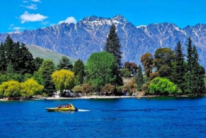 Queenstown: excursión privada de un día a Arrowtown y Wanaka con regreso.