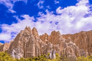 Queenstown: Private Day Trip to Lake Tekapo, Pukaki & More