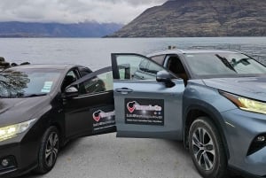 Queenstown: Yksityinen päiväretki Wanakasta Arrowtowniin ja muualle