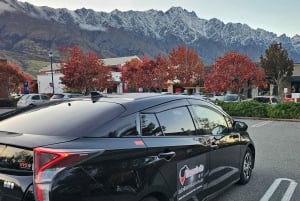 Queenstown: Yksityinen päiväretki Wanakasta Arrowtowniin ja muualle