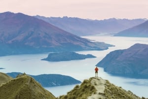 Queenstown: Yksityinen päiväretki Wanakasta Arrowtowniin ja muualle