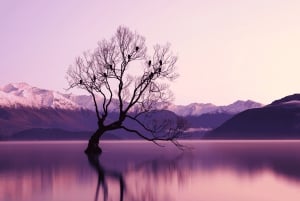 Queenstown: Yksityinen päiväretki Wanakasta Arrowtowniin ja muualle