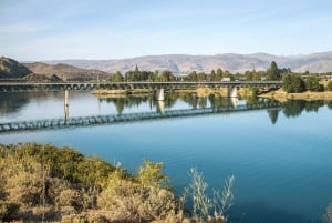 Queenstown: Yksityinen päiväretki Wanakasta Arrowtowniin ja muualle
