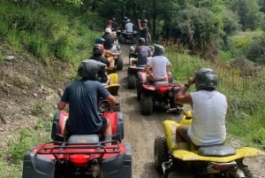 Queenstown: Fyrhjulingstur