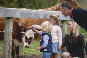 Квинстаун: Круиз по озеру Квинстауна и экскурсия на ферму Уолтера Пика