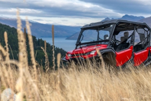 Queenstown: przejażdżka buggy