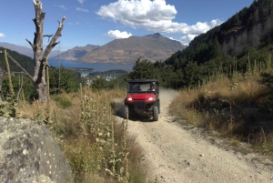 Queenstown: przejażdżka buggy