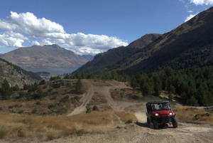 Queenstown: przejażdżka buggy