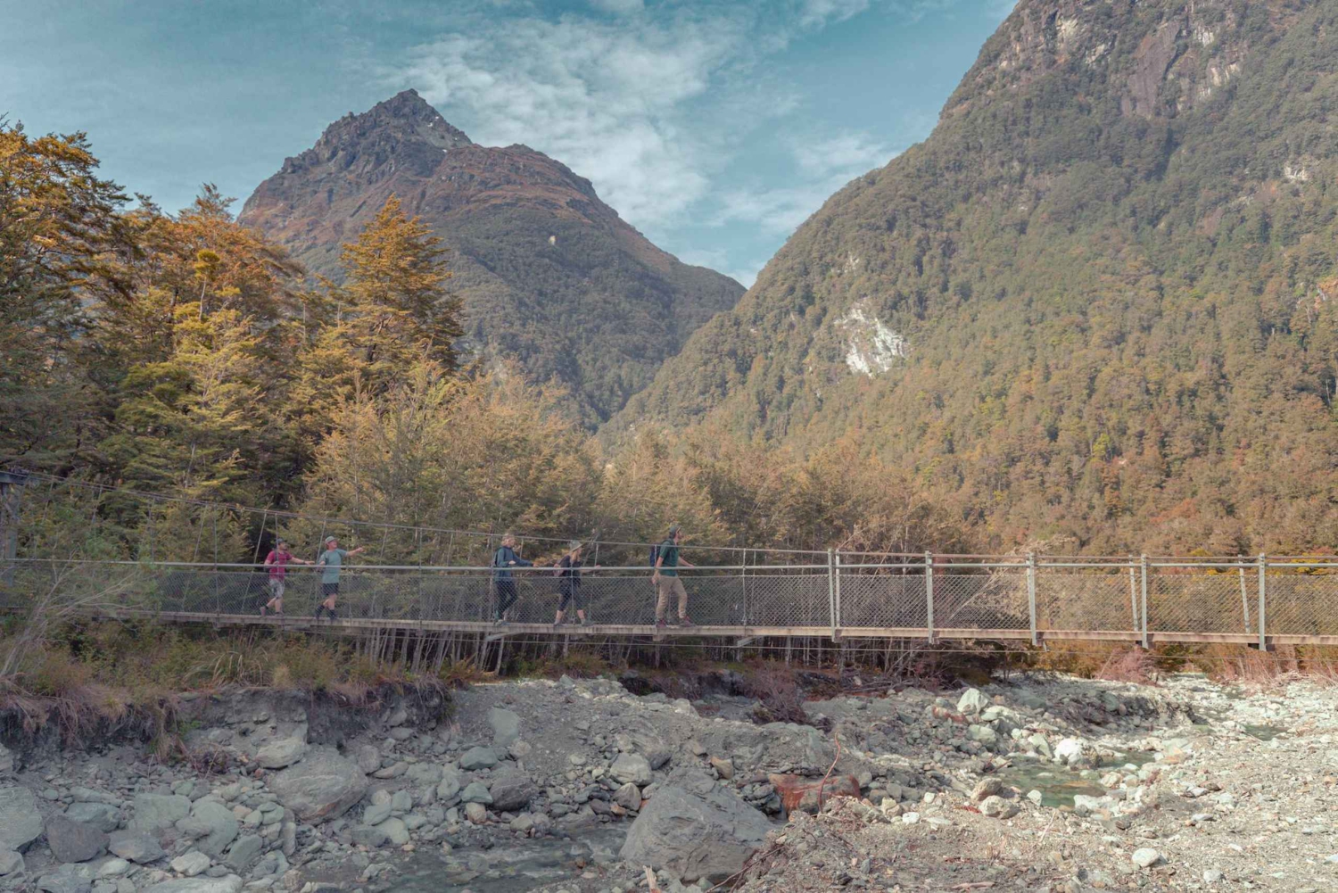 Queenstown: Routeburn Track wandeling met gids van een hele dag of een halve dag