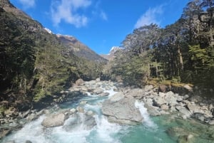 Queenstown: Routeburn Track wandeling met gids van een hele dag of een halve dag