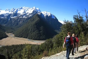 Queenstown: Routeburn Track wandeling met gids van een hele dag of een halve dag