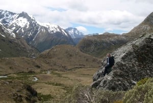 Queenstown: Routeburn Track wandeling met gids van een hele dag of een halve dag