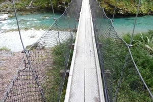 Queenstown: Routeburn Track wandeling met gids van een hele dag of een halve dag