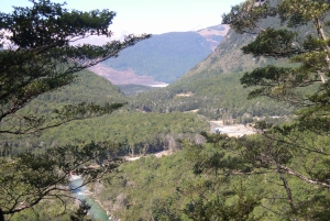 Queenstown: Routeburn Track wandeling met gids van een hele dag of een halve dag